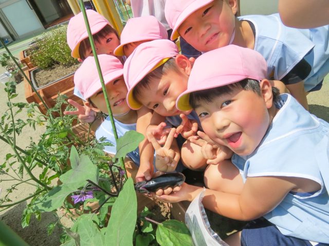 幼稚園部｜幼保連携型なとり認定こども園・第二こども園｜名取市